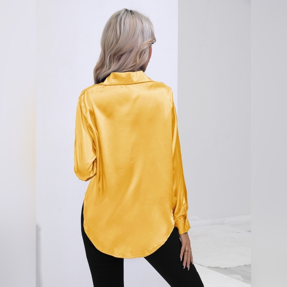 Collared Neck Buttoned Long Sleeve Shirt - Picture 3 of 4